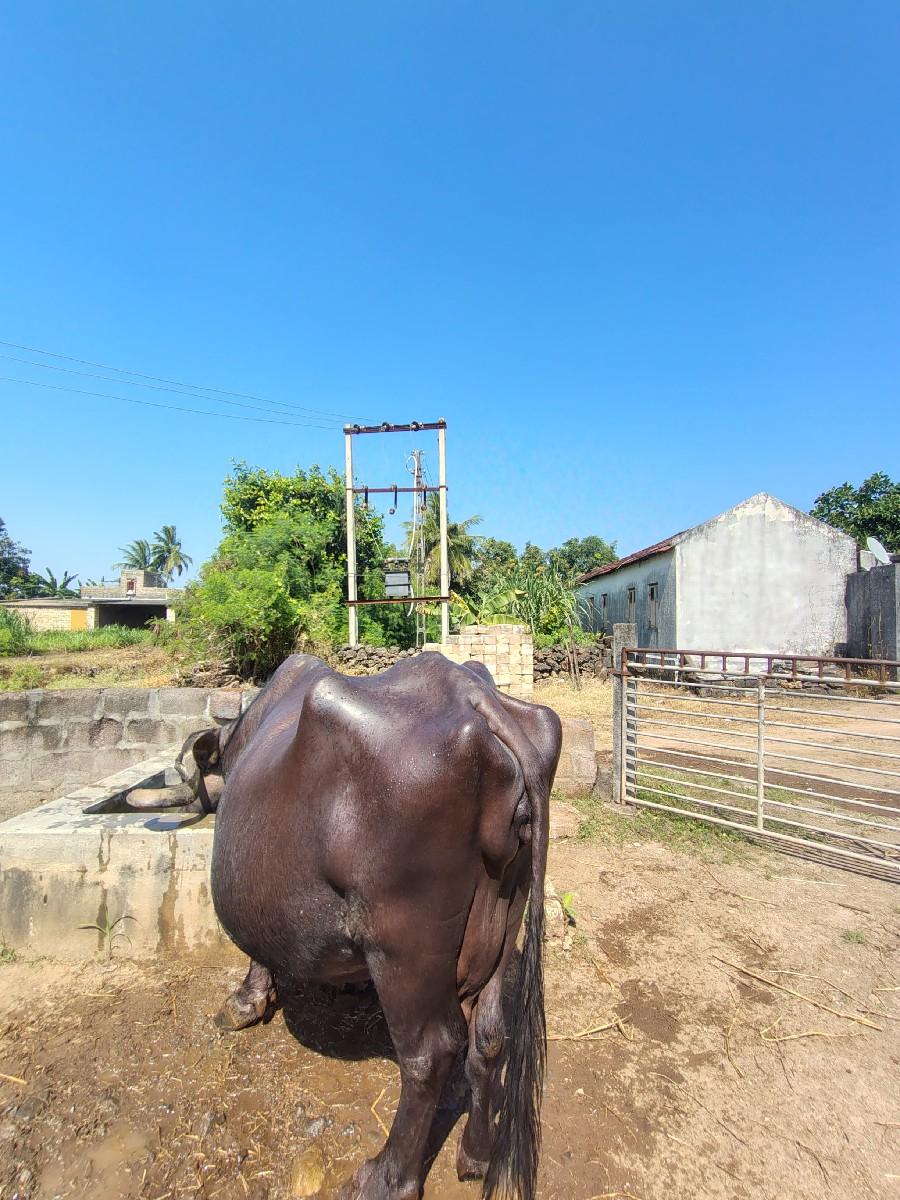 થંબનેલ 3