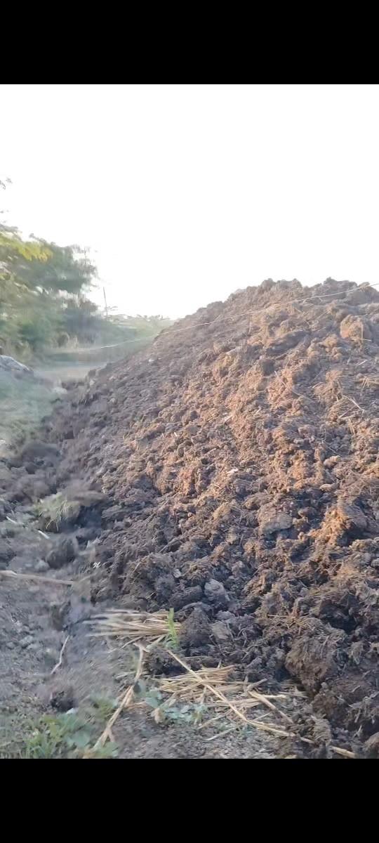 છાણીયું પ્યોર ખાતર