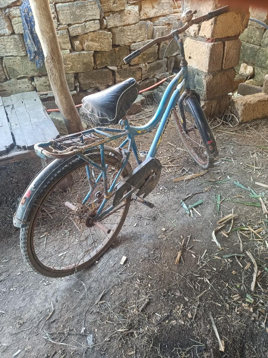 થંબનેલ 3