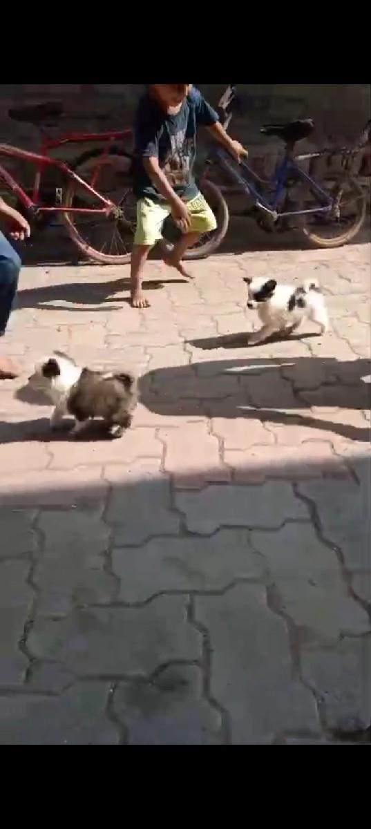 થંબનેલ 3