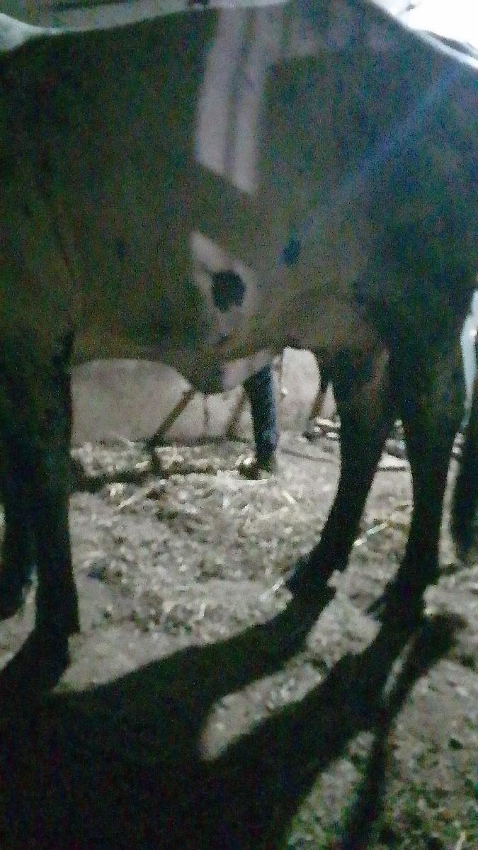 થંબનેલ 2