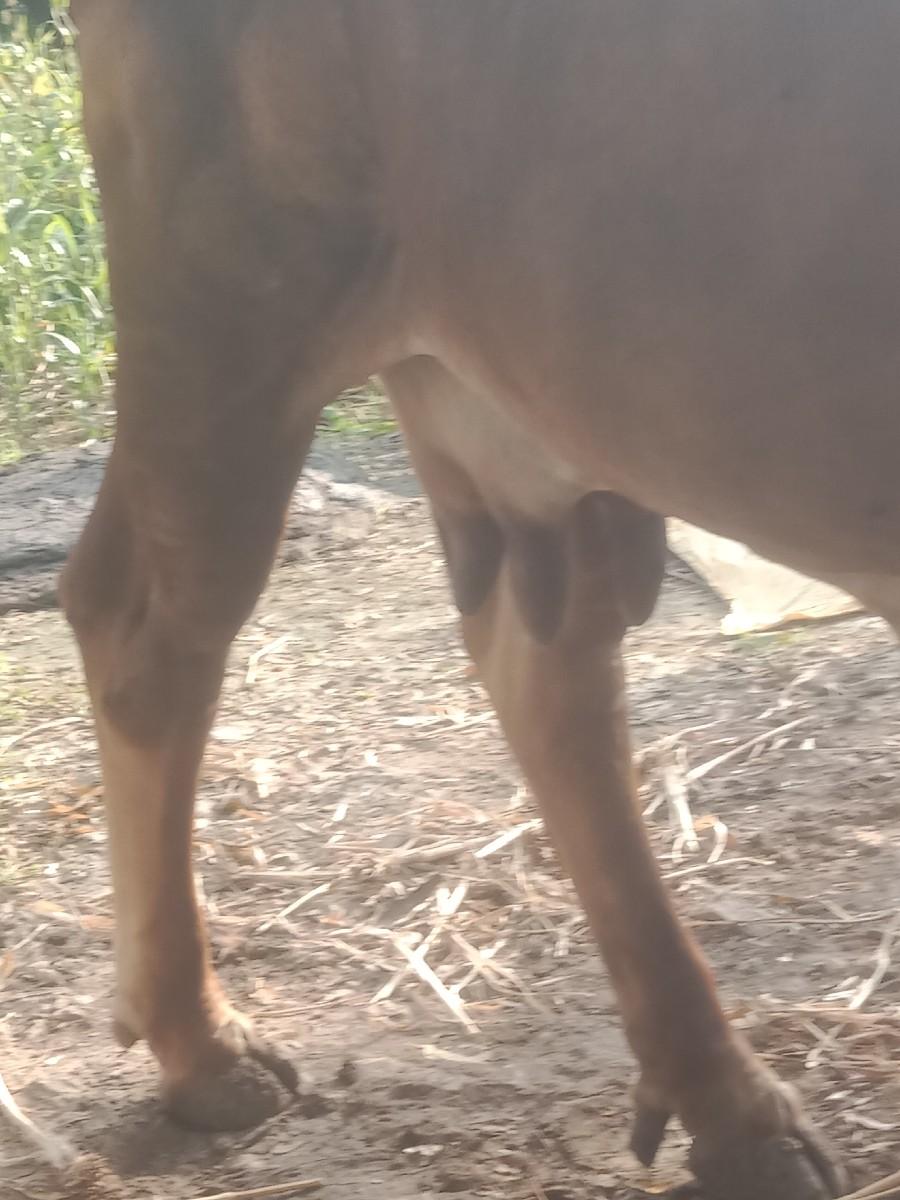 थंबनेल 3