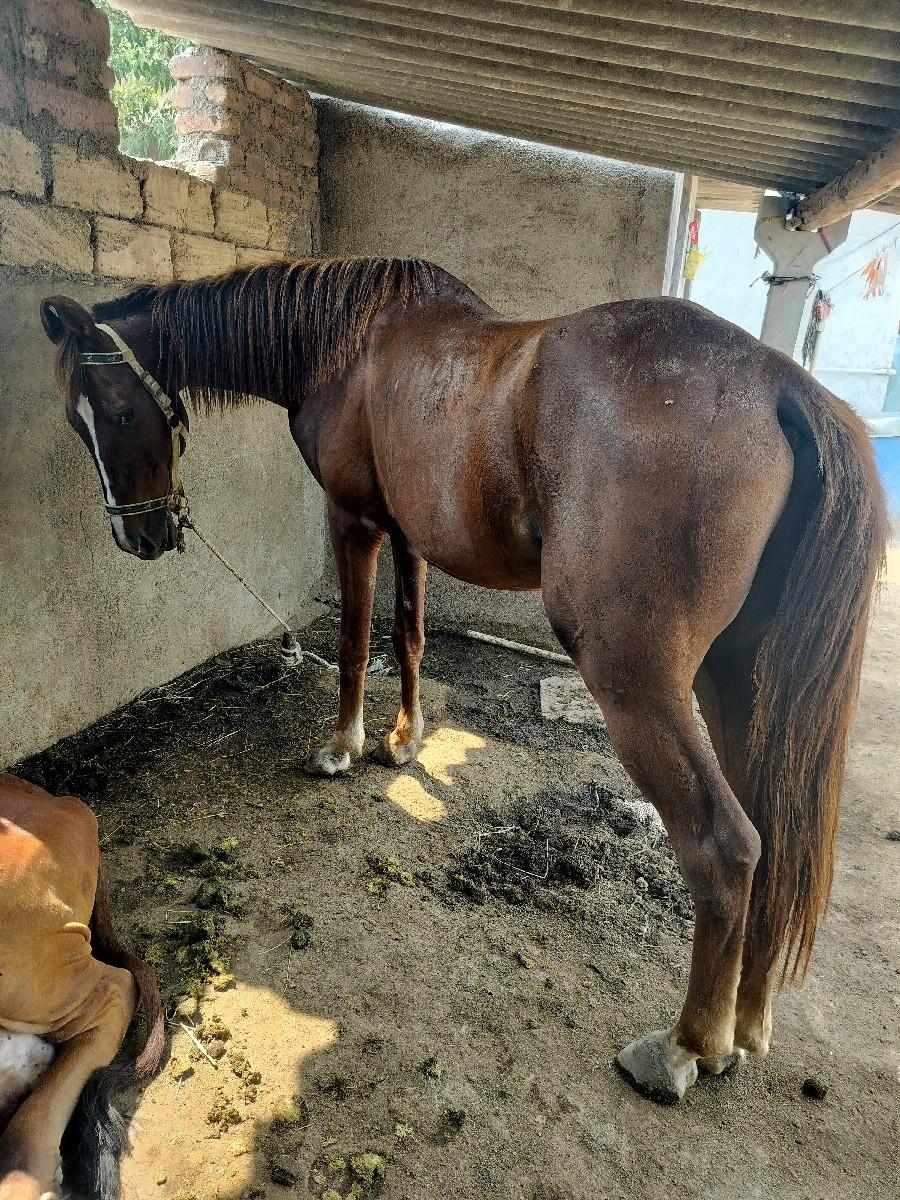 થંબનેલ 3