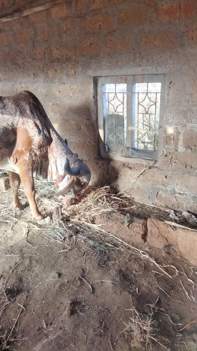 વેંચવા ની છે