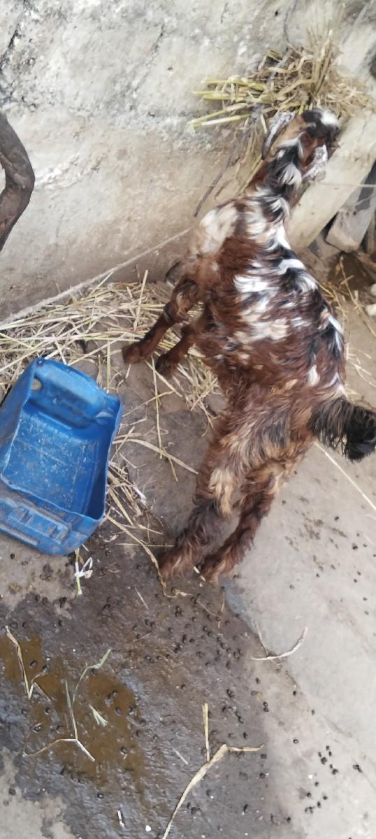 થંબનેલ 2