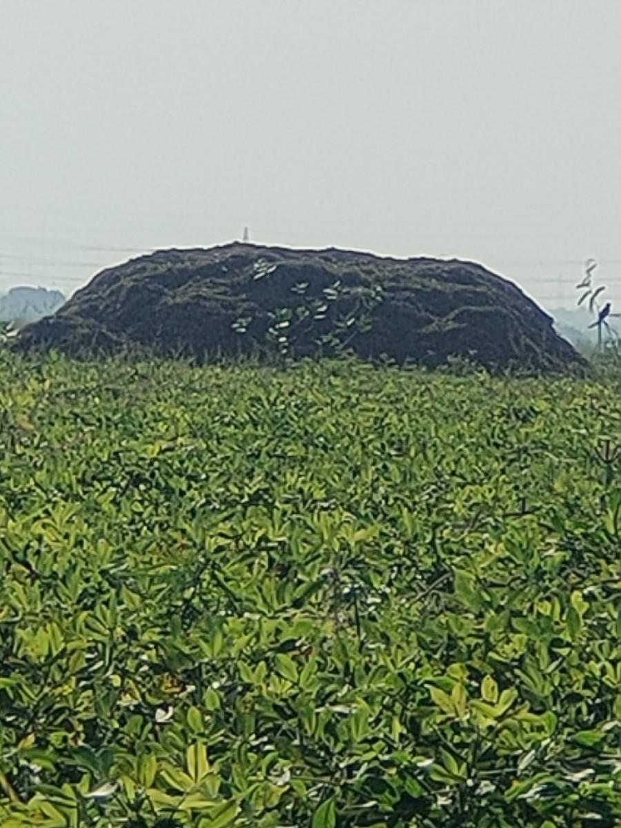 યે વિશ્વ છે