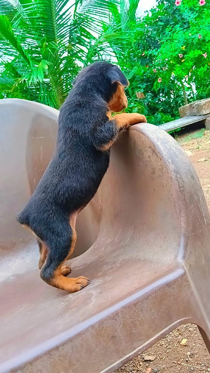 થંબનેલ 2