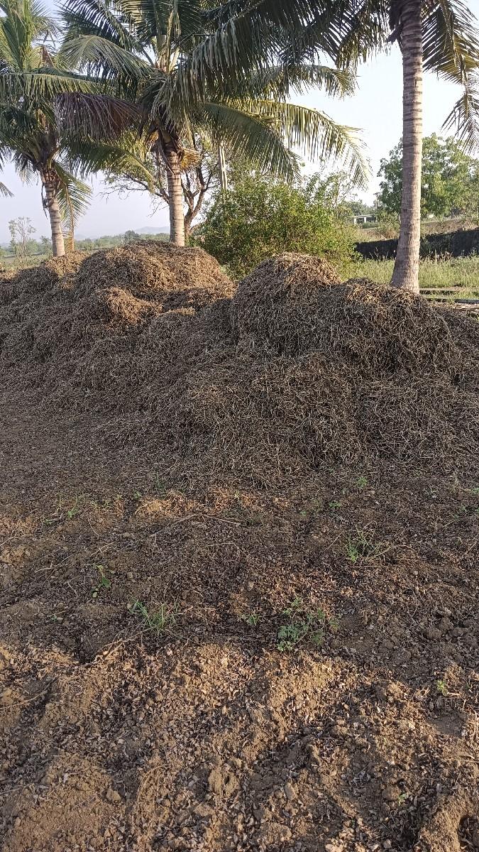 ભૂકો વેસવાનો સે 60વિદ્યા સે