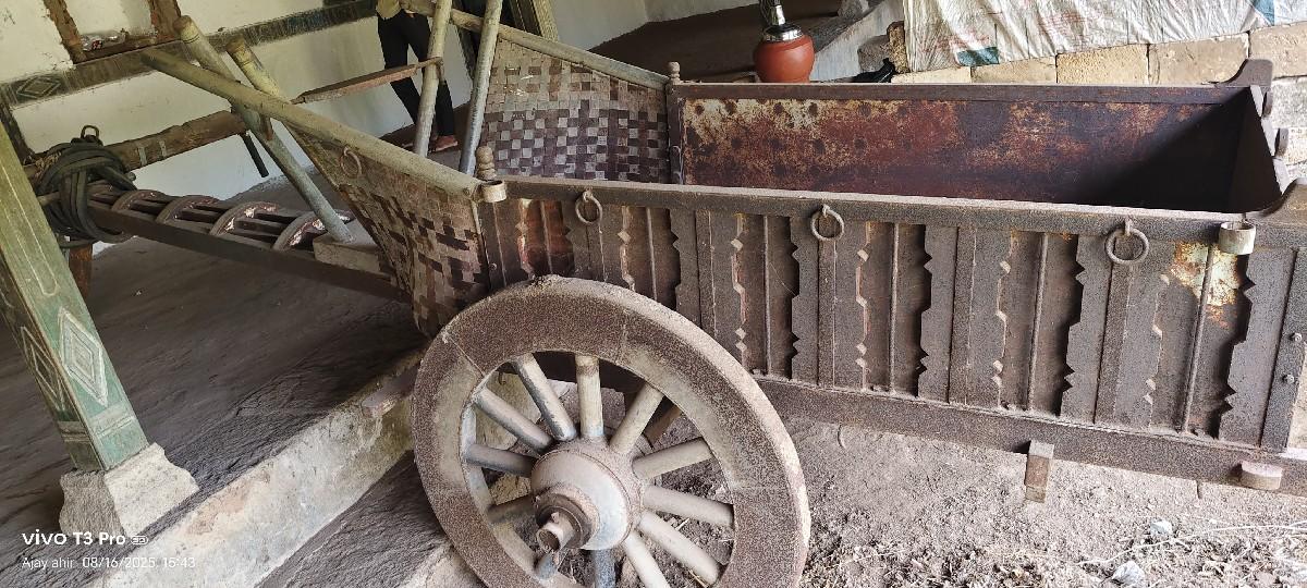 થંબનેલ 2