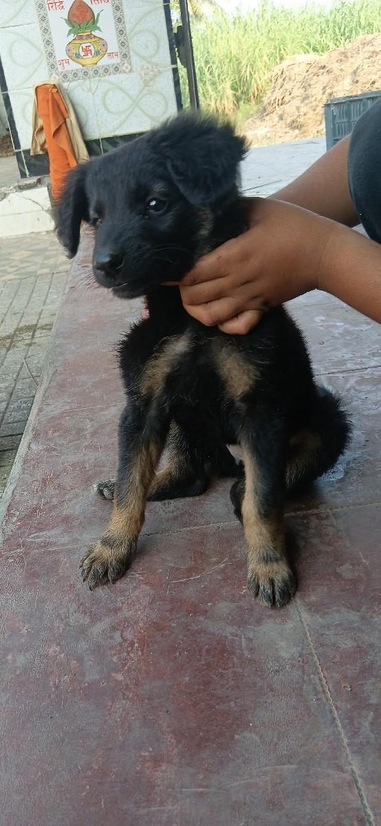 થંબનેલ 2