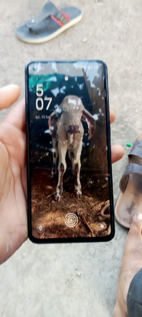 થંબનેલ 2