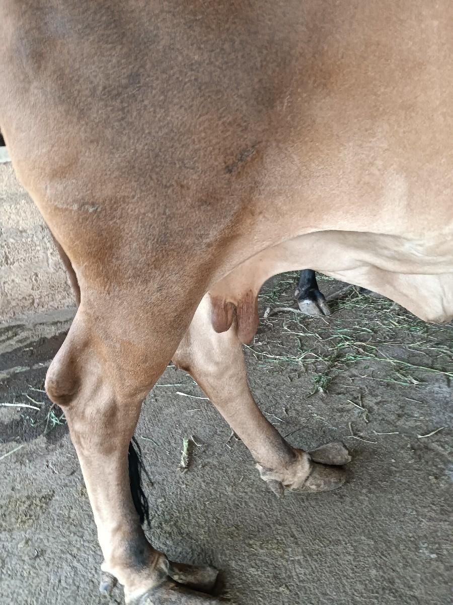 थंबनेल 3