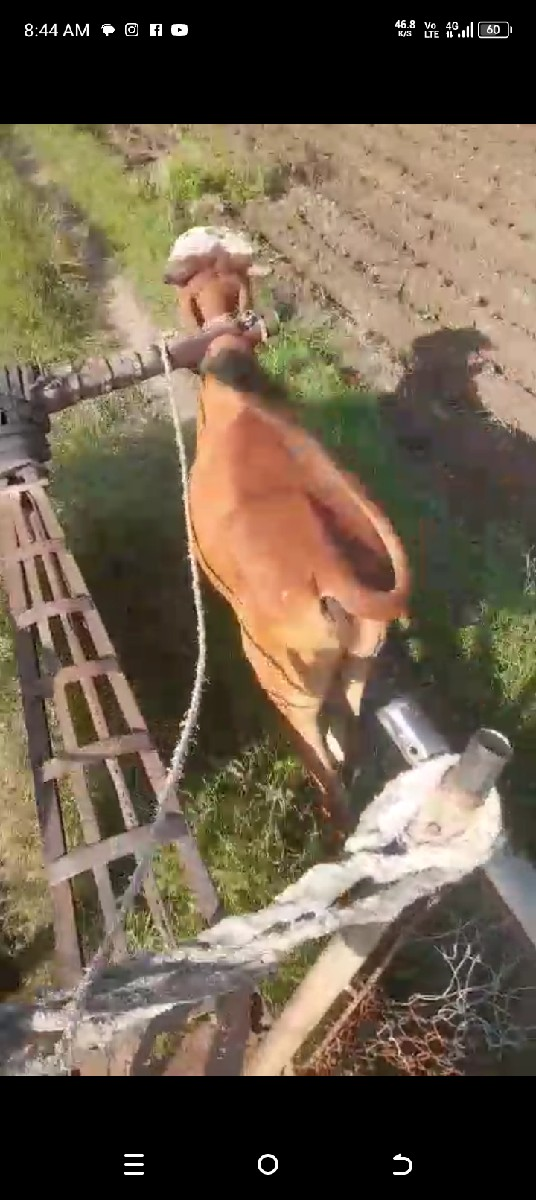 10,000 રૂપિયા કિંમત