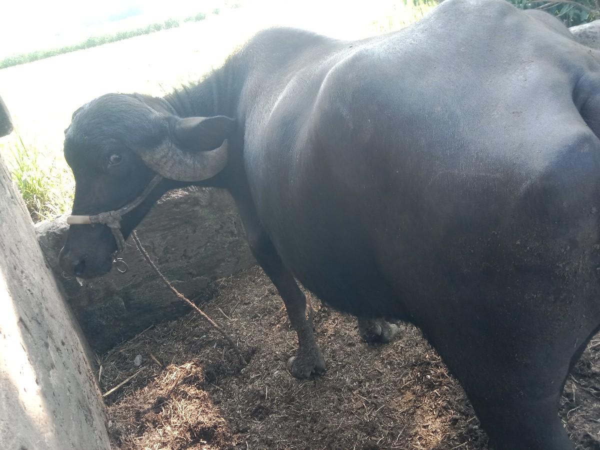 થંબનેલ 3