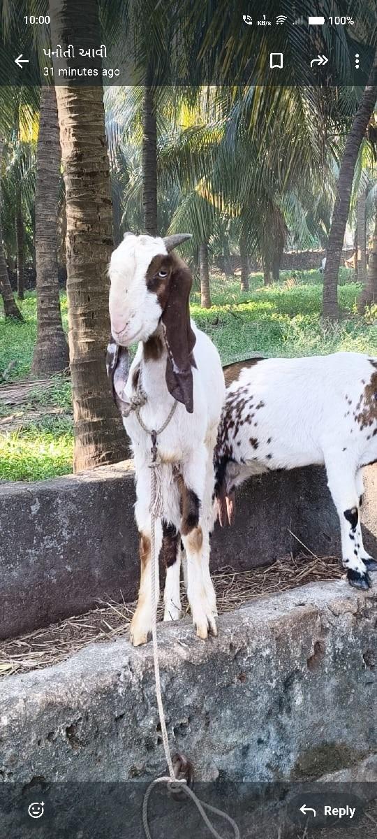 થંબનેલ 2