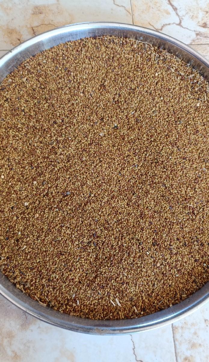 ગજબનું બી વેચવાનું છે