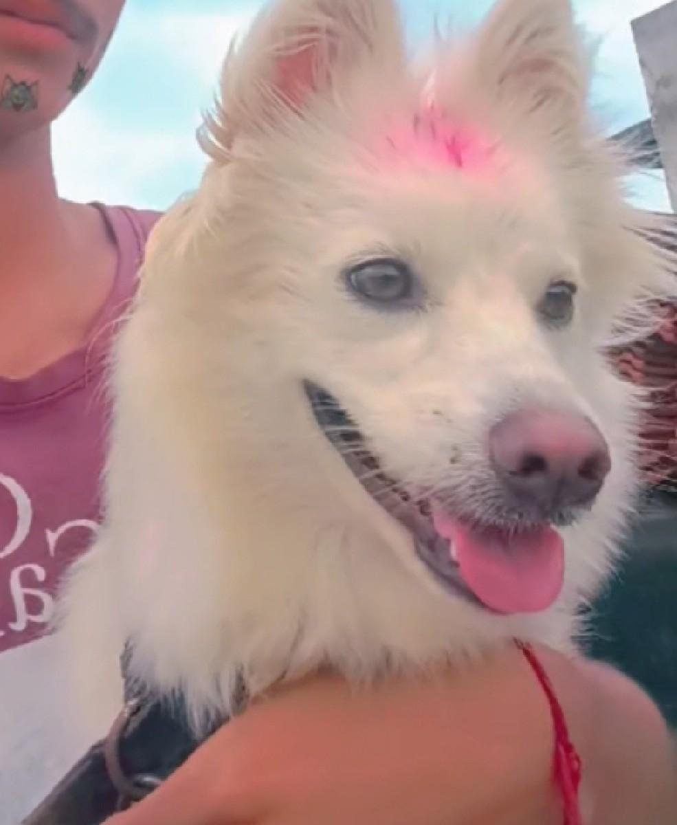 અરજટ વેચવાની છે