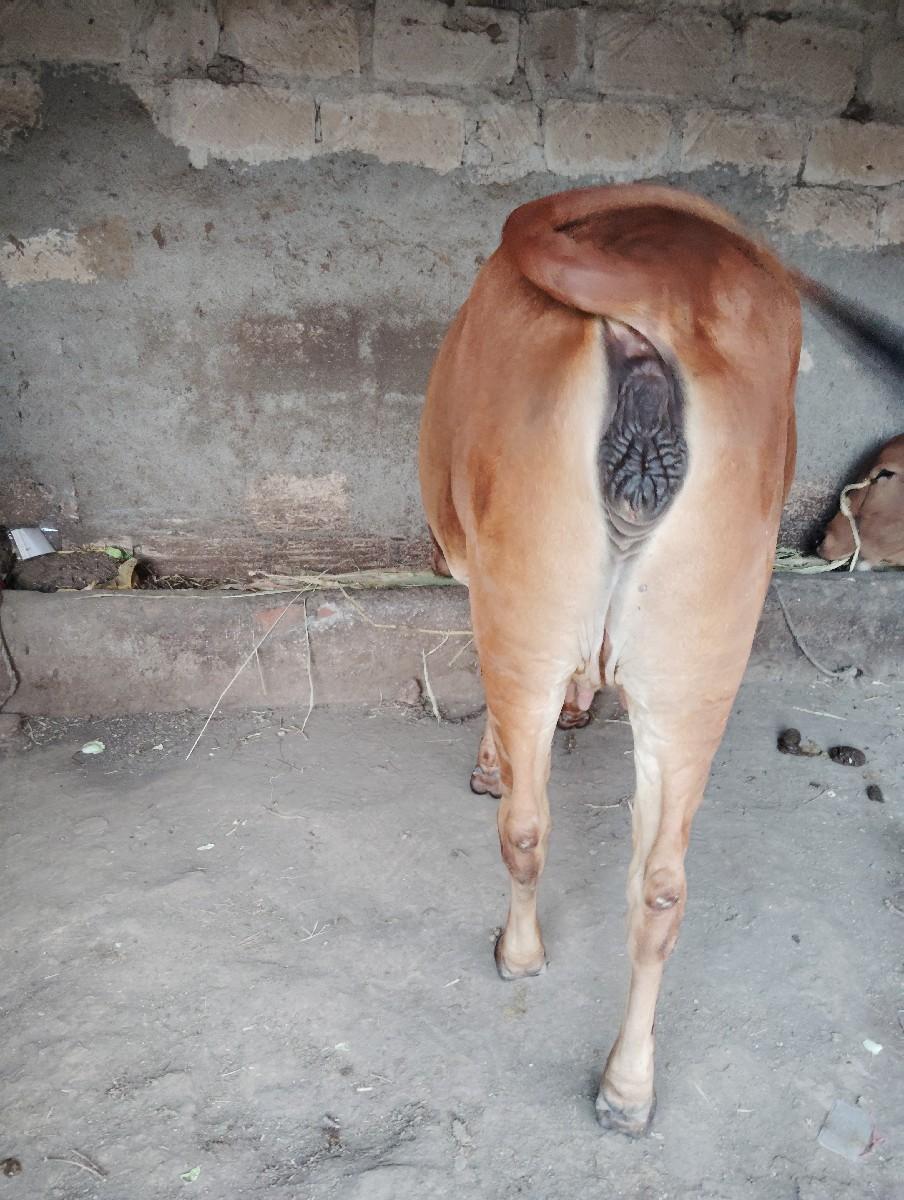 થંબનેલ 3