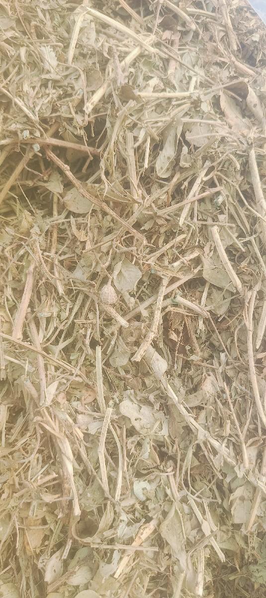 ભુક્કો વેચવાનો છે