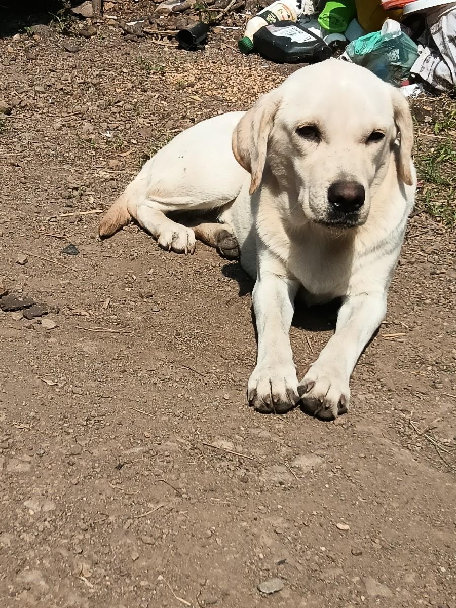 થંબનેલ 2