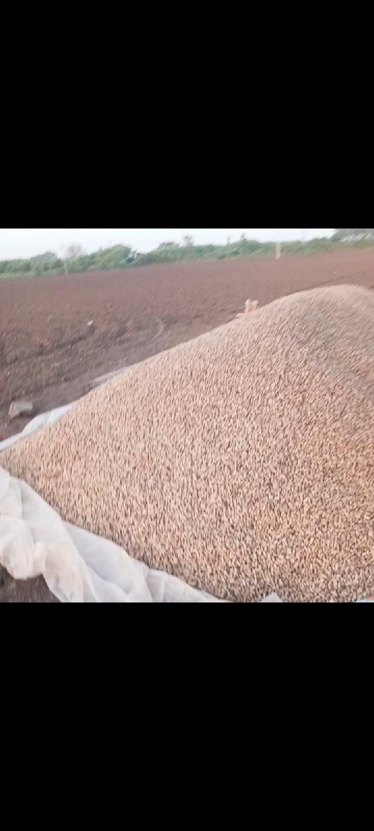 જી-20 માન્ડવી આપવાની છે.