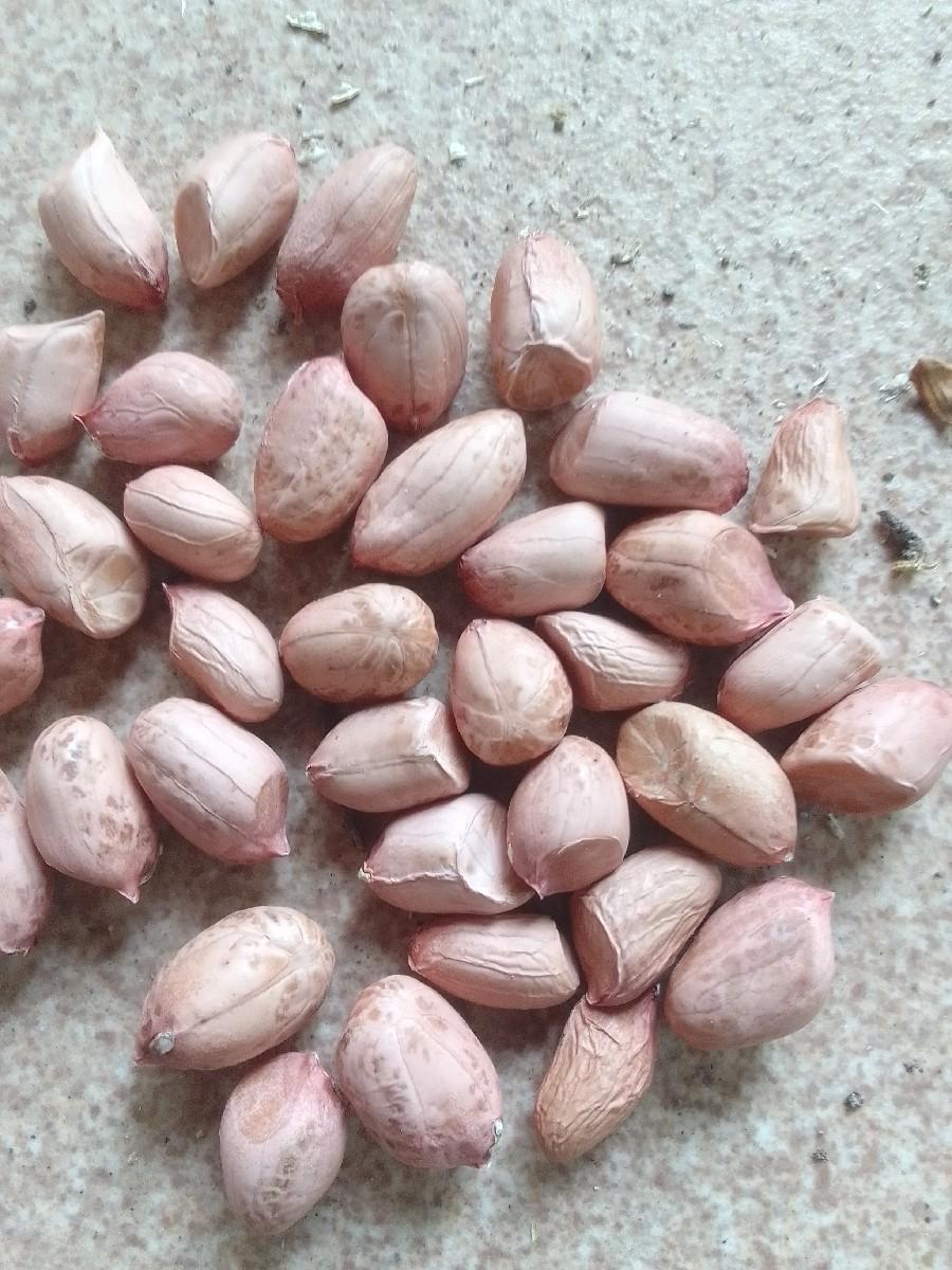 જી ૨૦  મગફળી   ભાવ ૧૪૫૦