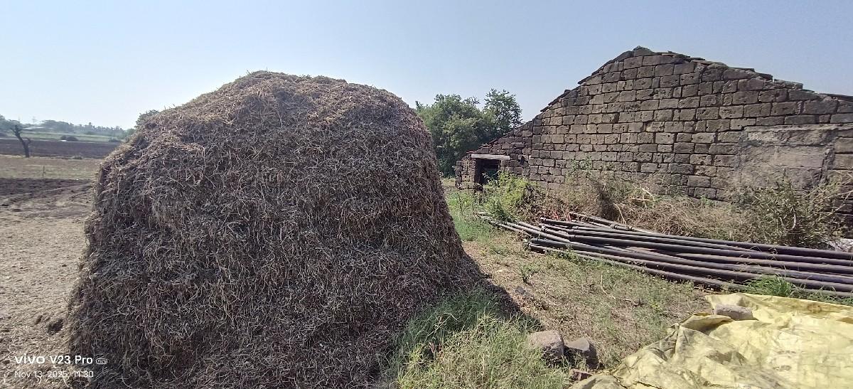 માંડવી નો ભૂકો વેચવાનો છે