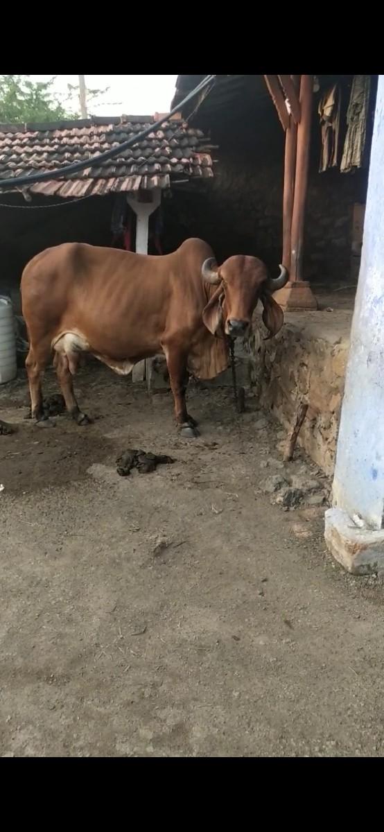 થંબનેલ 3