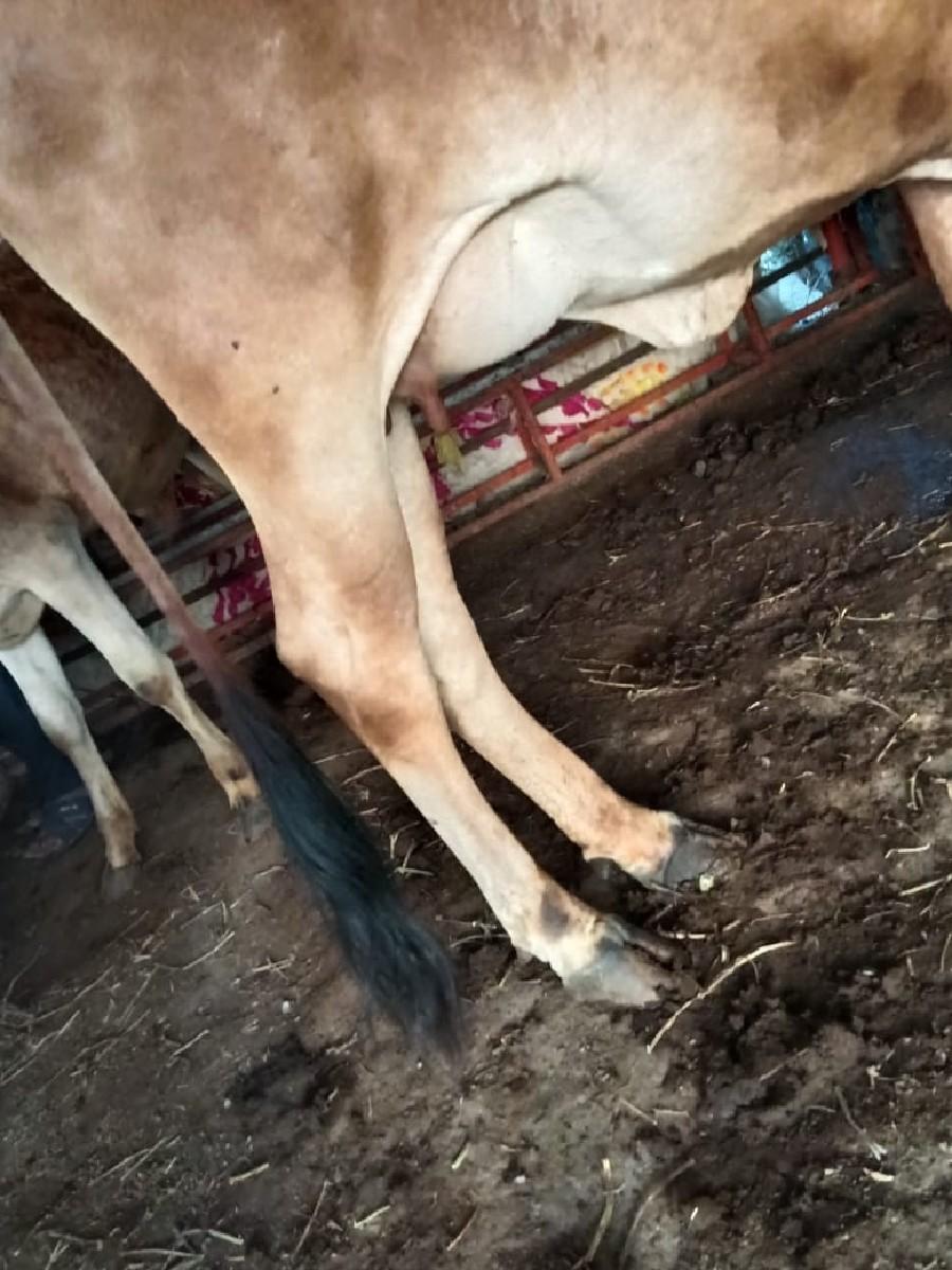 થંબનેલ 2