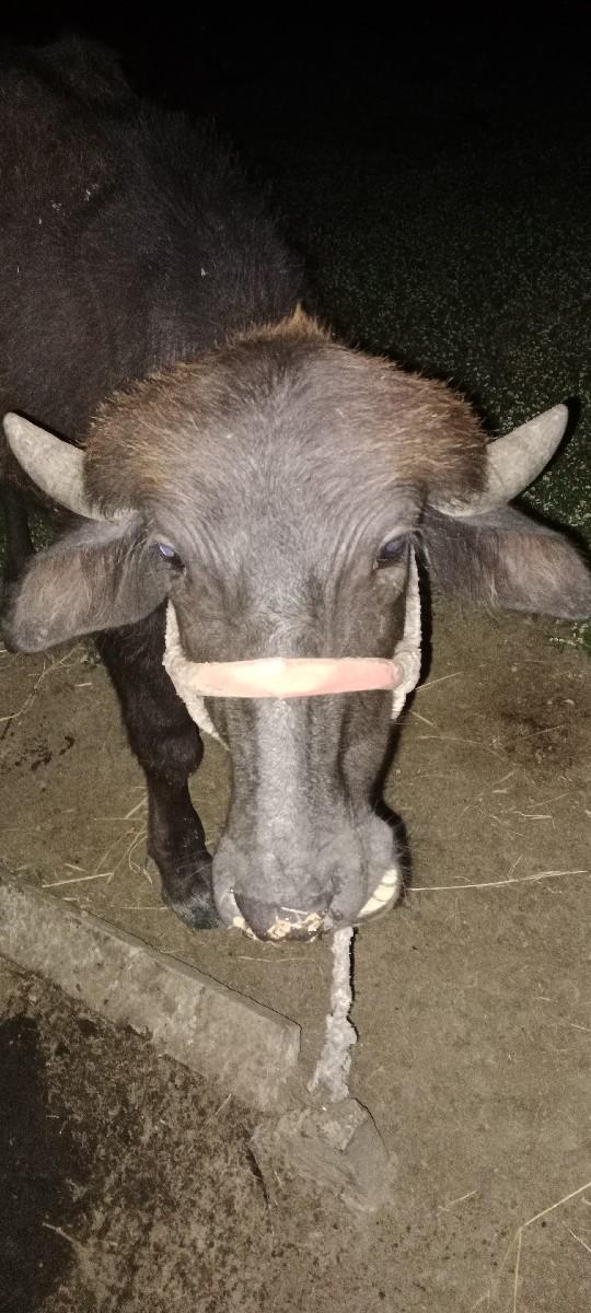 થંબનેલ 3