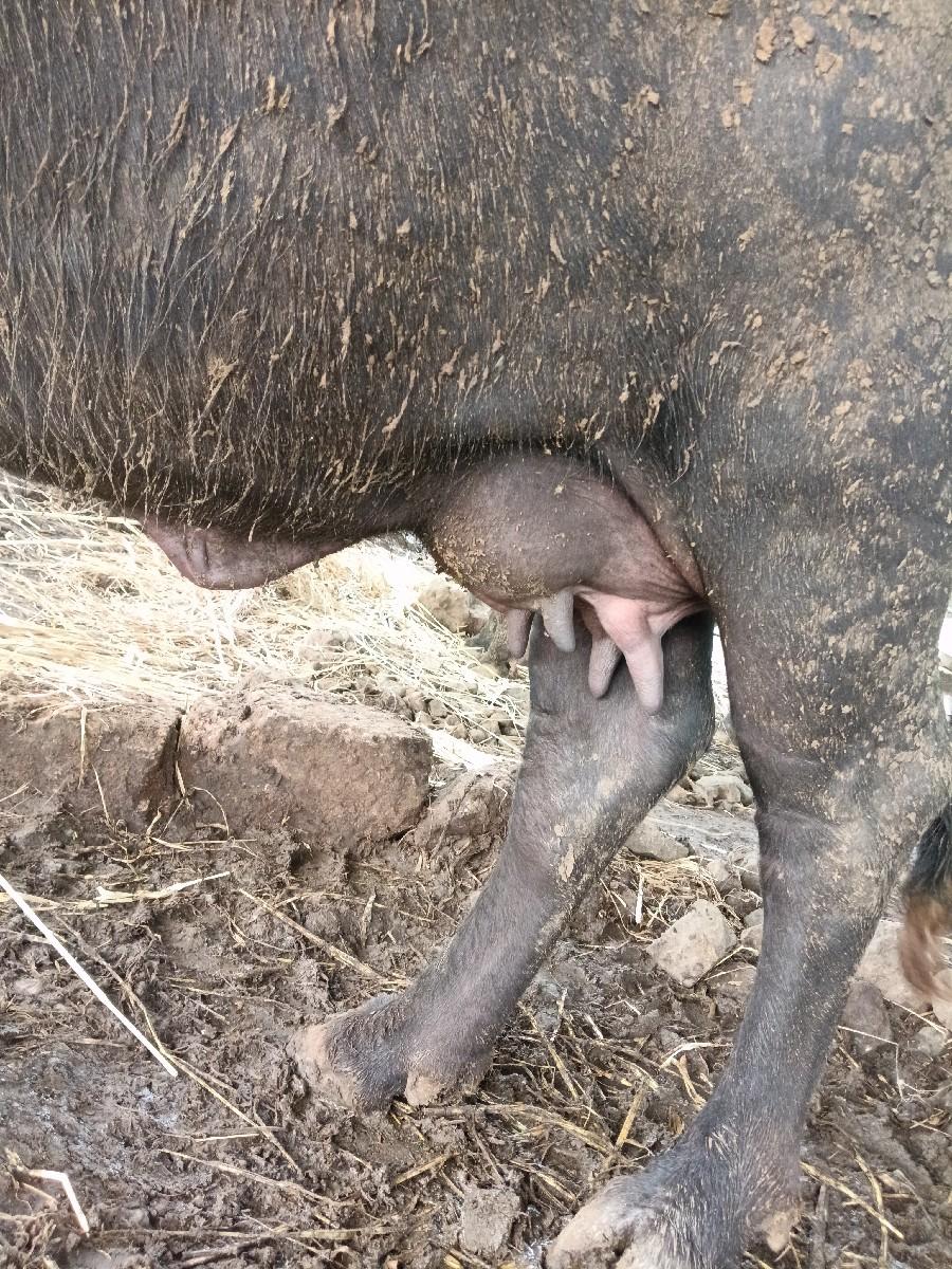 થંબનેલ 3