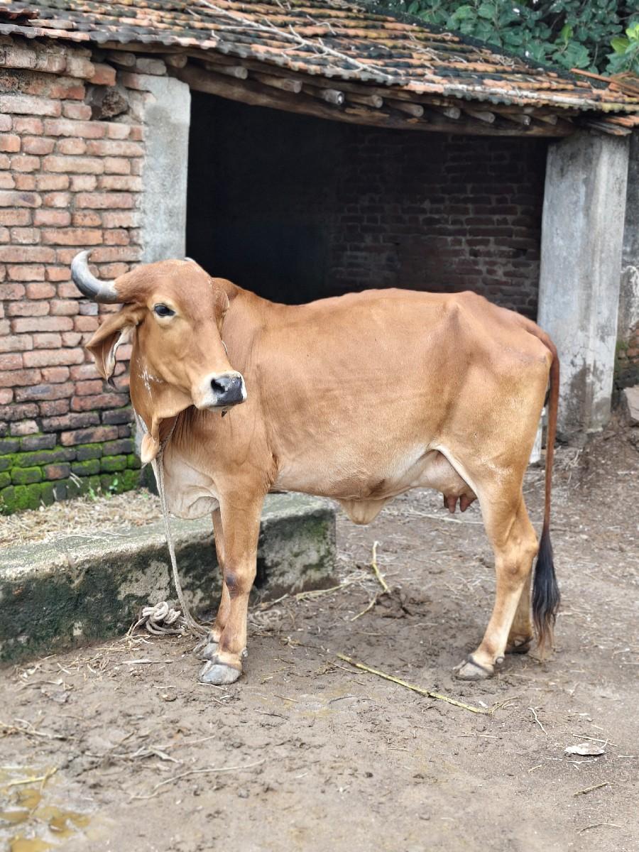 થંબનેલ 2