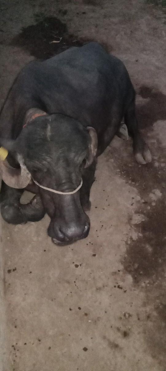 થંબનેલ 3