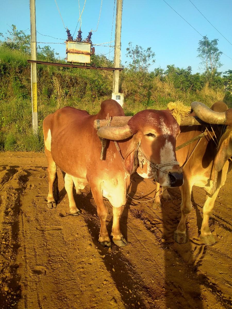 થંબનેલ 3