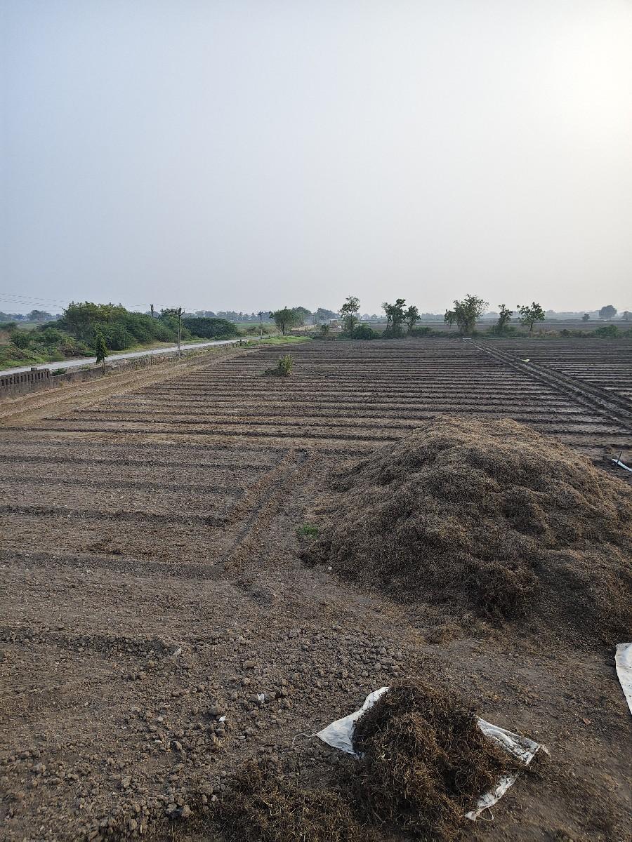 જમીન વેચાણ થી આપવાની છે રોડ ટચ