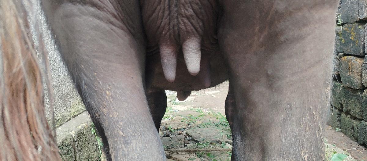 થંબનેલ 2