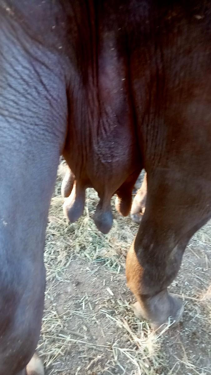 આઠ દસ દિવસની કાશી છે કુલ જવાબદારી