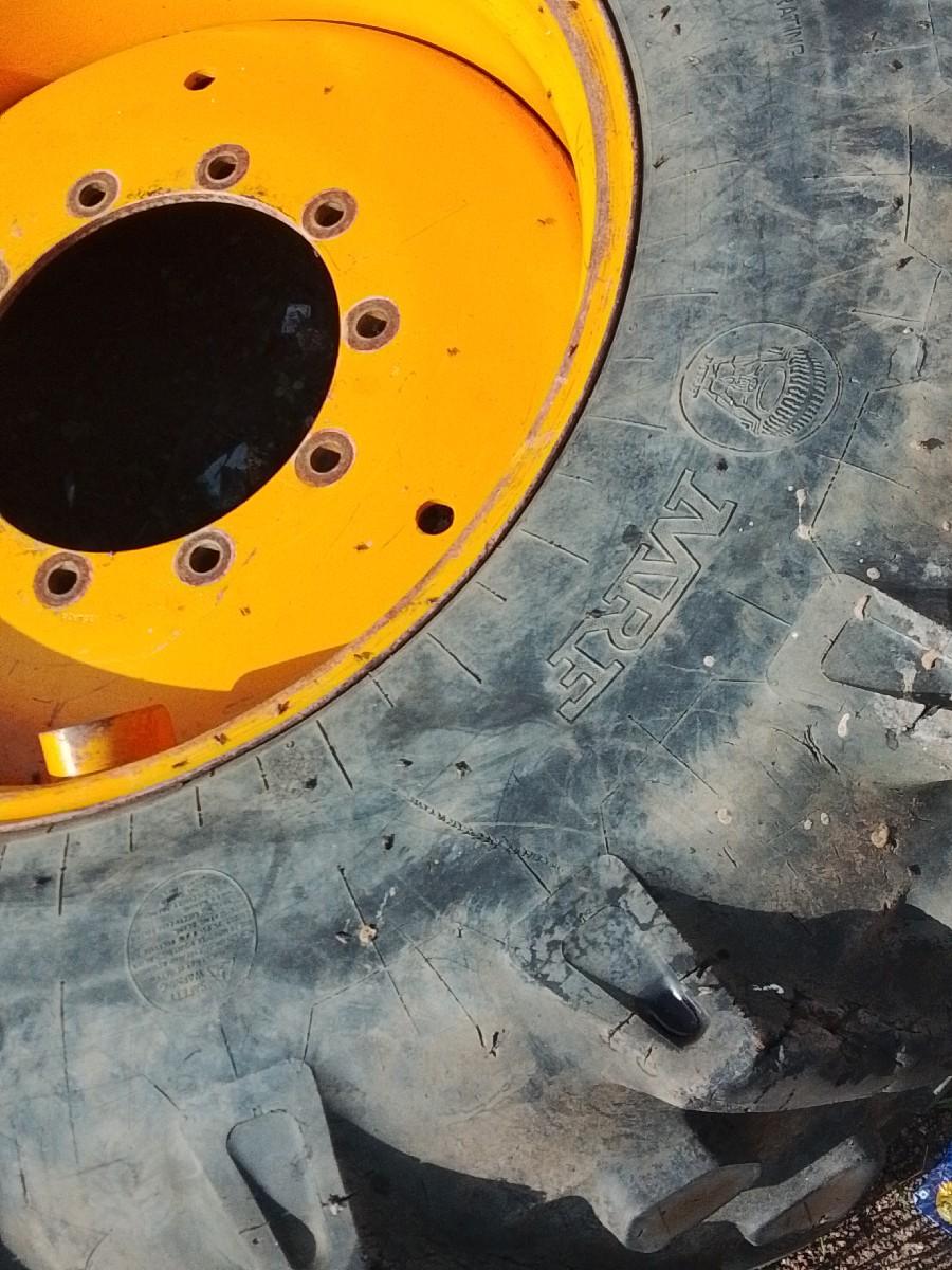 થંબનેલ 3