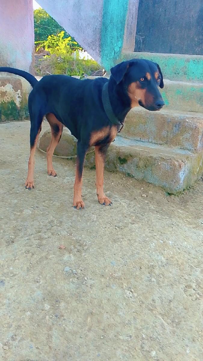 થંબનેલ 2