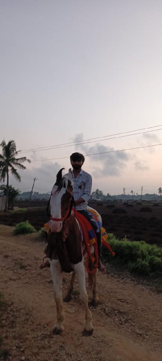 થંબનેલ 3