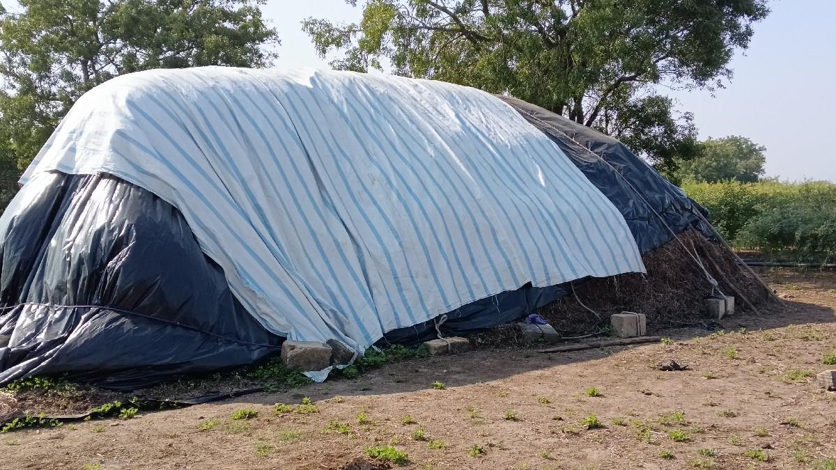 madvino bhuko vesvano se  koro