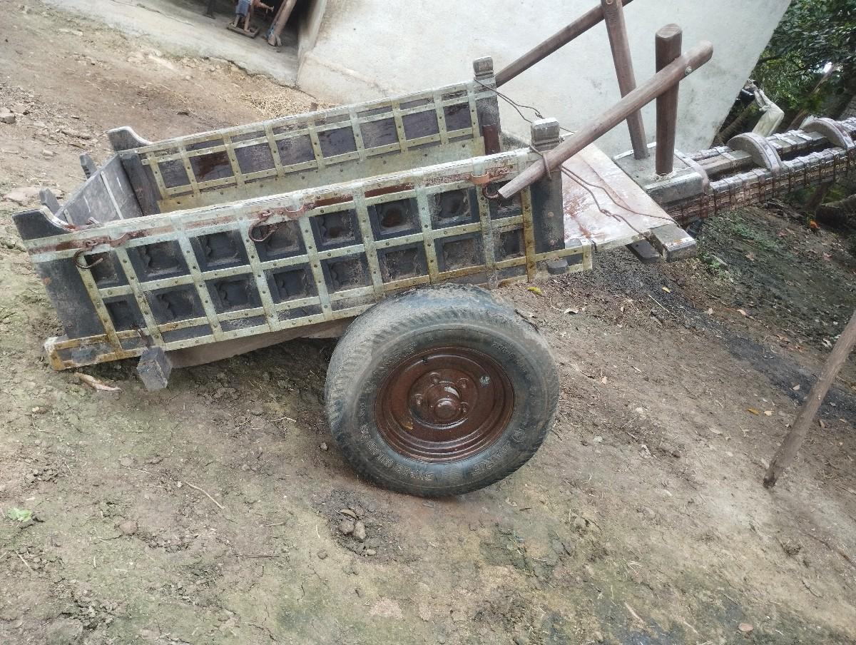 થંબનેલ 2