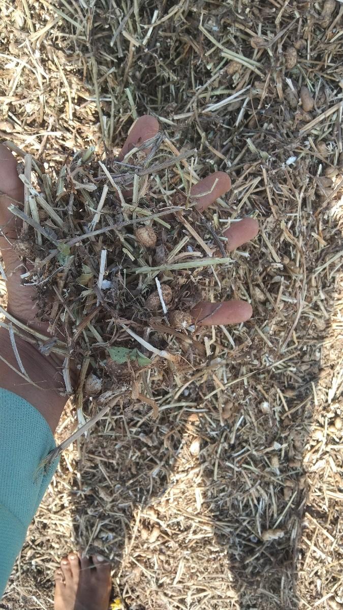 માડવો 37નંબર વેચવાનો છે