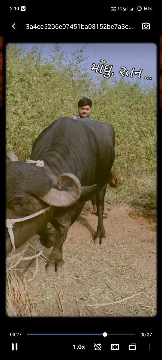 વેચવાની છે