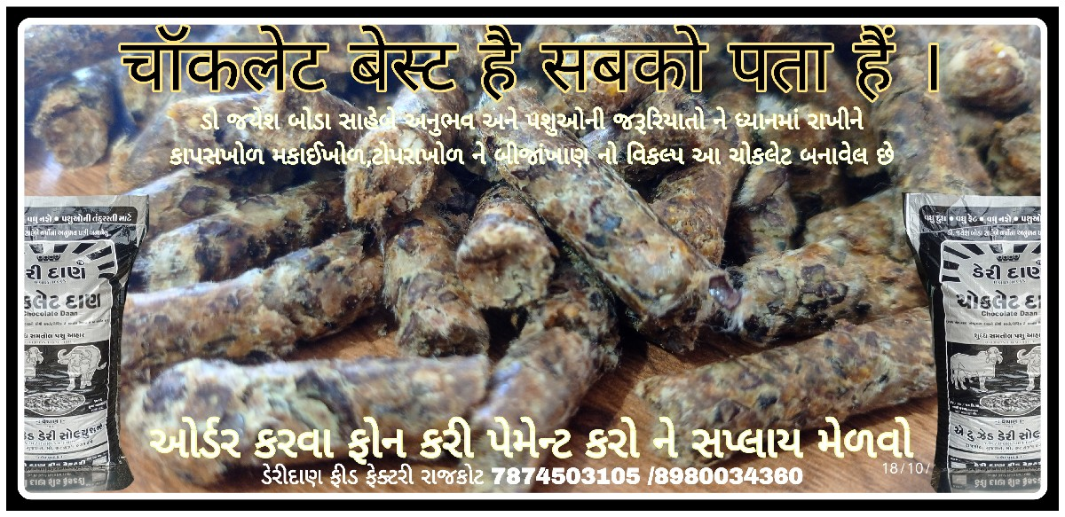 થંબનેલ 4