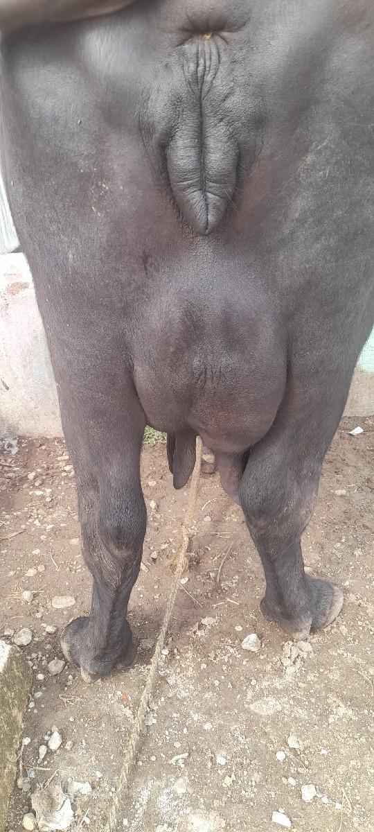 થંબનેલ 3