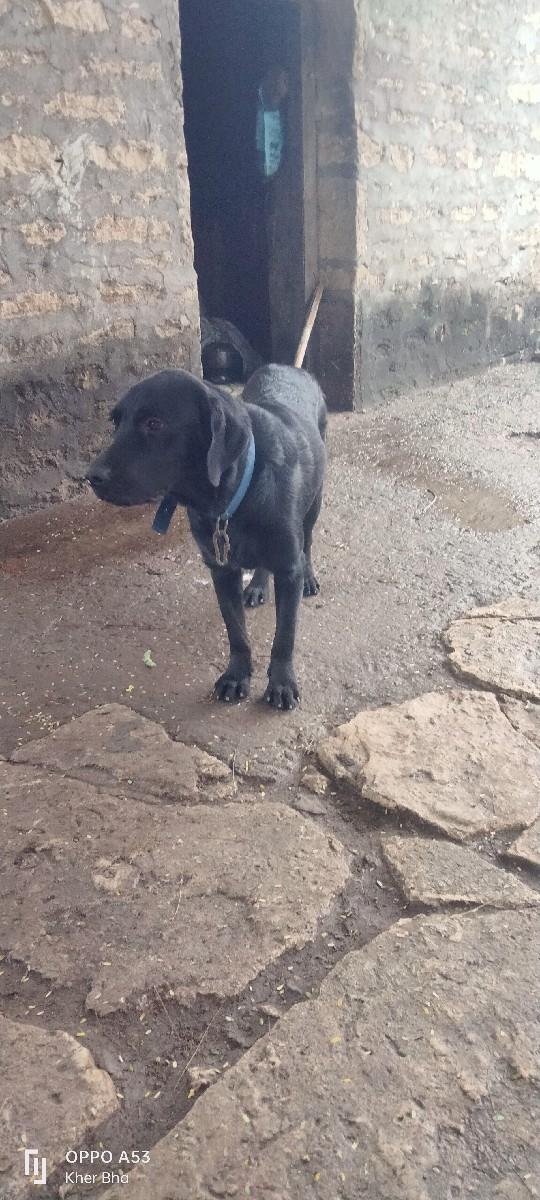 થંબનેલ 3