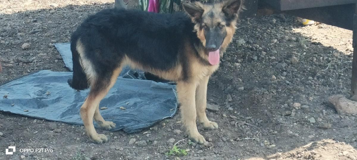 થંબનેલ 3