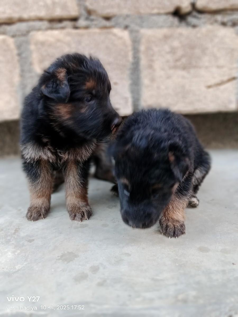 થંબનેલ 3