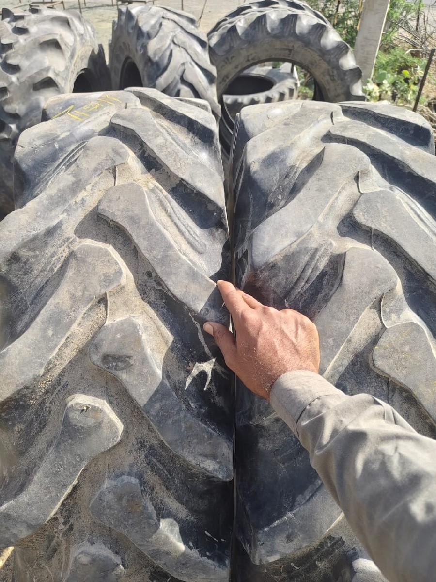 થંબનેલ 3